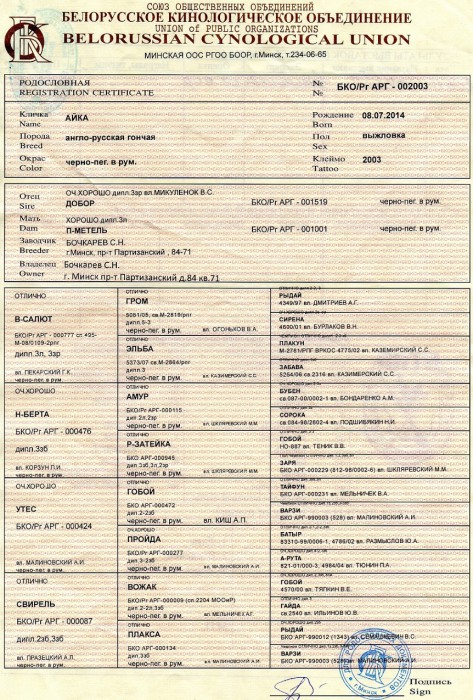 полоса1.jpg (736 КБ) Просмотров: 3411 полоса1.jpg