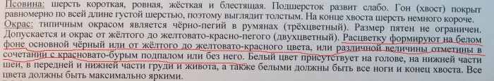 ЭГ_2.JPG