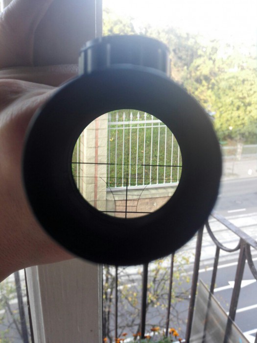 qT-453_D4M0.jpg