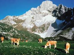 загружено (7).jpg