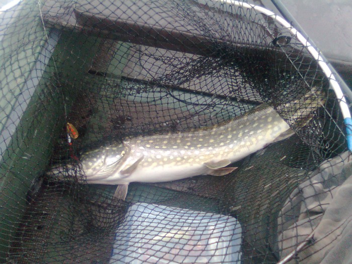 Фото0730.jpg (609.88 КБ) Просмотров: 16353 Фото0730.jpg