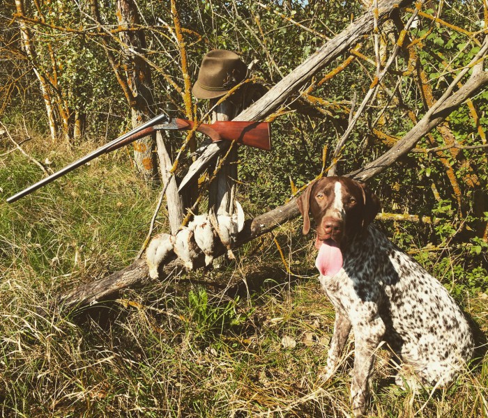 IMG_85961.jpg (1.02 МБ) Просмотров: 10830 IMG_85961.jpg