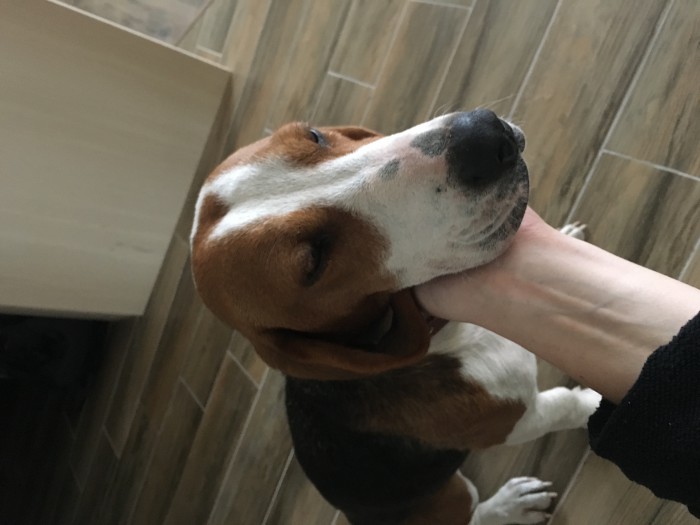 IMG_5265.JPG (1.74 МБ) Просмотров: 2540 IMG_5265.JPG