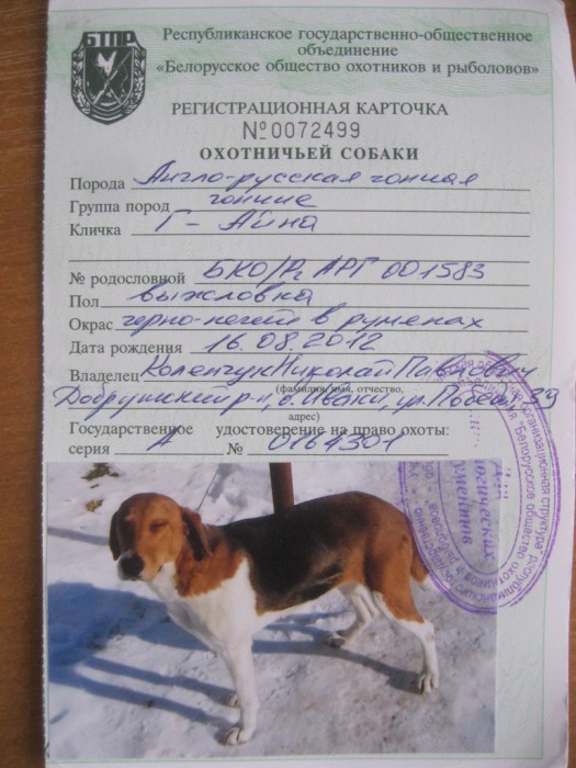 Г-Айна.jpg