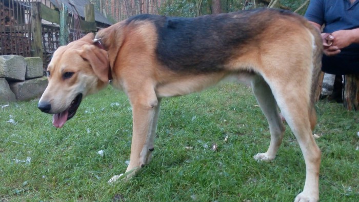 IMG_20171108_203655_974.jpg (1.68 МБ) Просмотров: 2895 IMG_20171108_203655_974.jpg