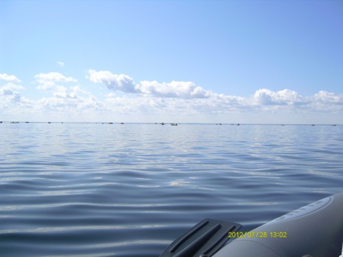 PICT8605.JPG