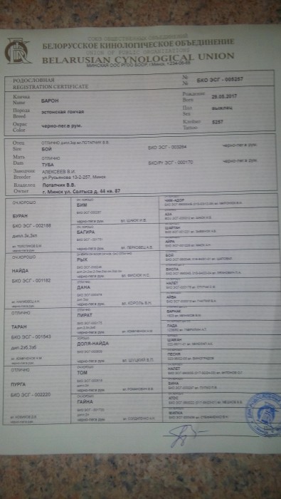 Родословная.jpg (2.03 МБ) Просмотров: 3272 Родословная.jpg