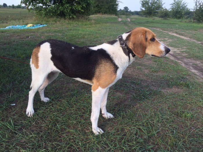 ULMuwbR4Yyo.jpg (237.48 КБ) Просмотров: 9981 ULMuwbR4Yyo.jpg