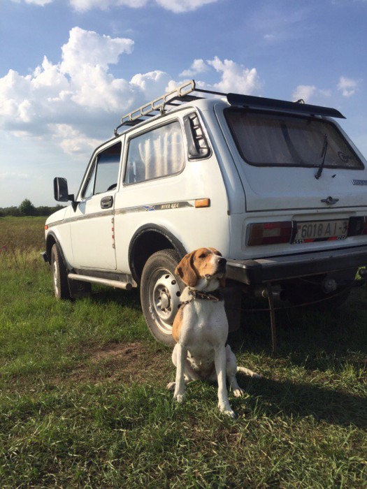 VLf_NppBMTE.jpg (182.09 КБ) Просмотров: 9981 VLf_NppBMTE.jpg