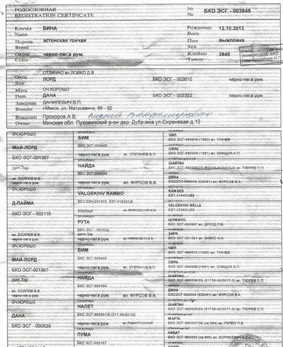 4.jpg (391.92 КБ) Просмотров: 2903 4.jpg