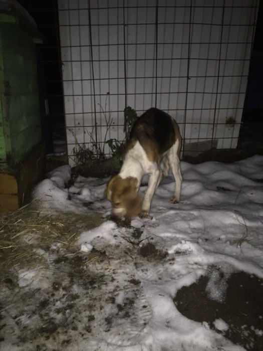 3CrReJJsPeM.jpg (146.44 КБ) Просмотров: 4850 3CrReJJsPeM.jpg