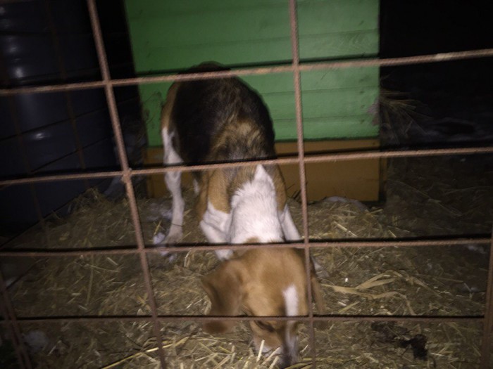 CFhPniQt3UI.jpg (118.57 КБ) Просмотров: 4864 CFhPniQt3UI.jpg