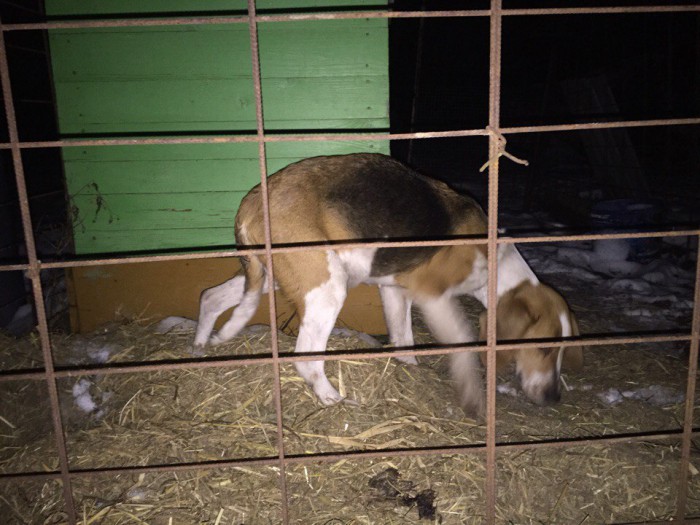 hsazIoOmlUg.jpg (169.92 КБ) Просмотров: 4864 hsazIoOmlUg.jpg