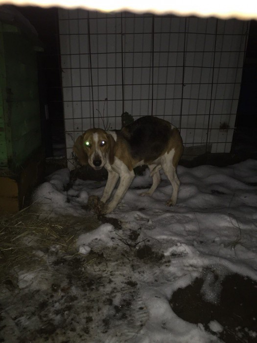 ICXg0PPCyEg.jpg (112.13 КБ) Просмотров: 4850 ICXg0PPCyEg.jpg