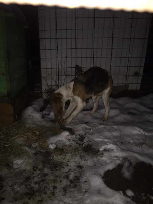 PcbE2-pg0zc.jpg (101.67 КБ) Просмотров: 5093 PcbE2-pg0zc.jpg