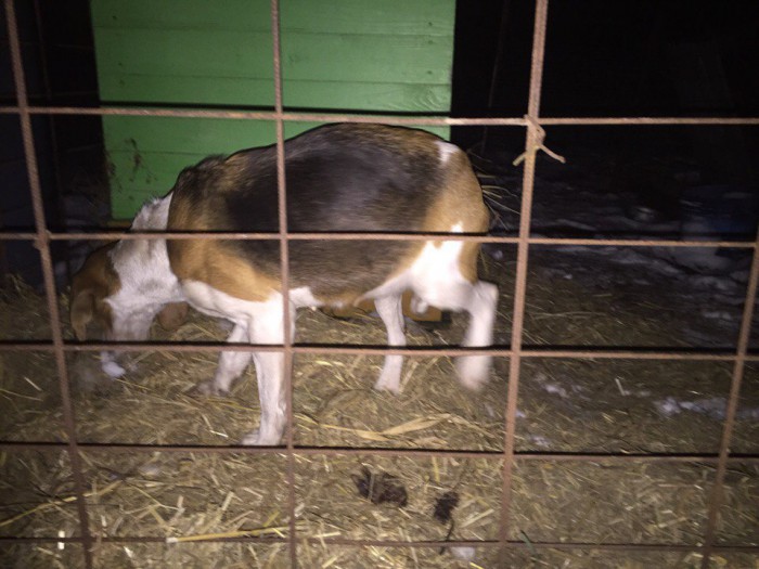 QKHCp8sp74w.jpg (154.41 КБ) Просмотров: 4864 QKHCp8sp74w.jpg