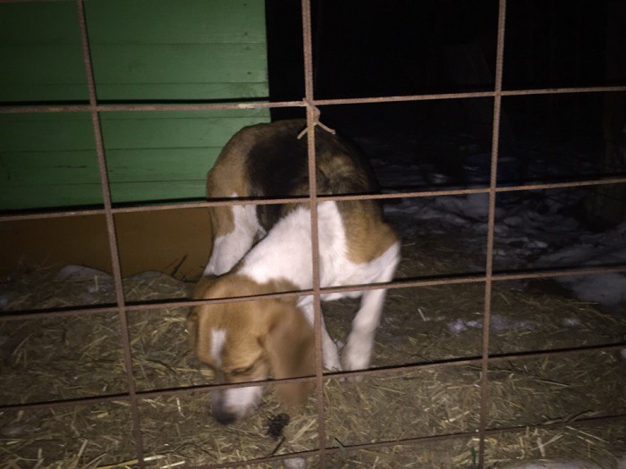 XiSelUMmjcg.jpg (120.76 КБ) Просмотров: 5093 XiSelUMmjcg.jpg