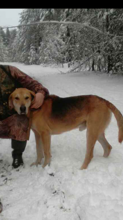 Screenshot_2017-12-08-18-31-29.png (603.31 КБ) Просмотров: 2893 Screenshot_2017-12-08-18-31-29.png