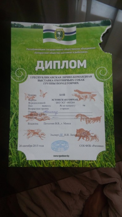 20171217_132043.jpg (1.37 МБ) Просмотров: 7058 20171217_132043.jpg