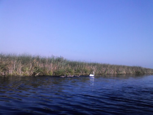 IMG01068_resize.jpg