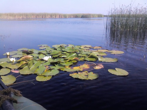 IMG01075_resize.jpg