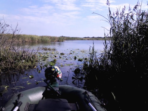 IMG01081.jpg (193.24 КБ) Просмотров: 6323 IMG01081.jpg