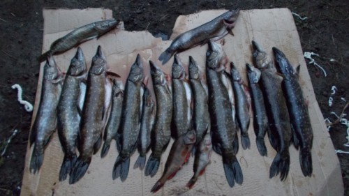 DSCN0866.jpg (207.67 КБ) Просмотров: 6327 DSCN0866.jpg