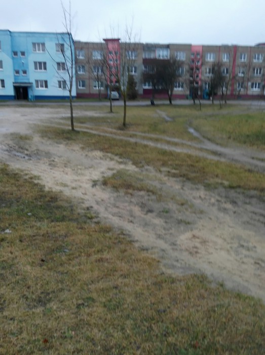 _20171229_165344.jpg
