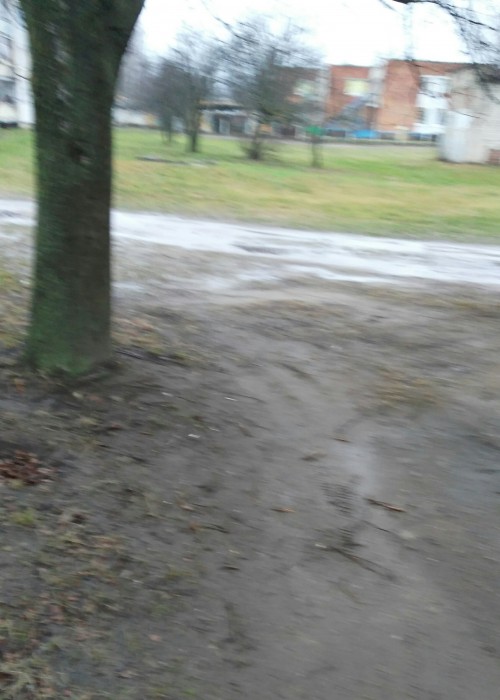 _20171229_165602.jpg
