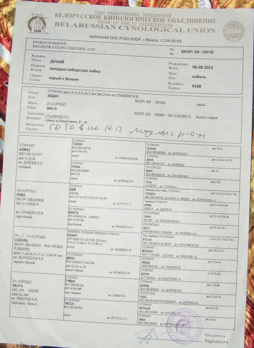 Дунай-1.jpg (437.78 КБ) Просмотров: 10201 Дунай-1.jpg