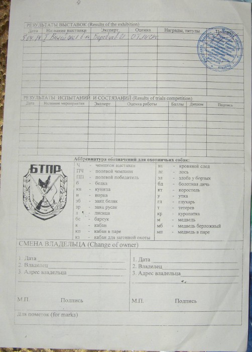 Дунай-2.jpg (307.79 КБ) Просмотров: 10201 Дунай-2.jpg