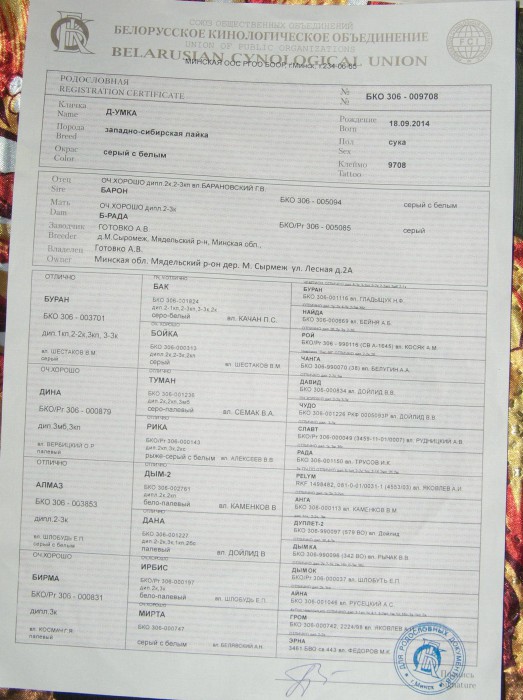 Умка-1.jpg (436.67 КБ) Просмотров: 10201 Умка-1.jpg