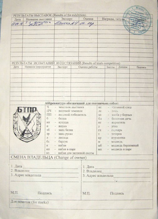 Умка-2.jpg (437.27 КБ) Просмотров: 10201 Умка-2.jpg