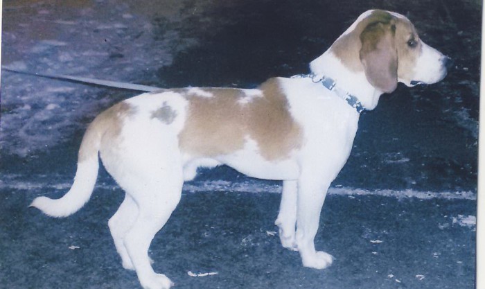 004330_ф.JPG (208.49 КБ) Просмотров: 16734 004330_ф.JPG