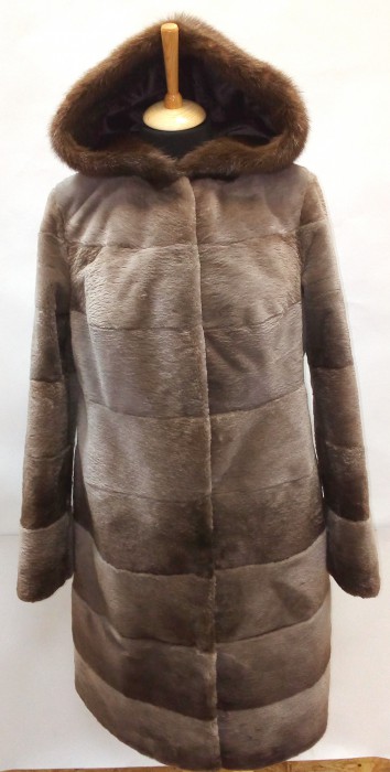 Стриженный бобр13.jpg (1.11 МБ) Просмотров: 3229 Стриженный бобр13.jpg