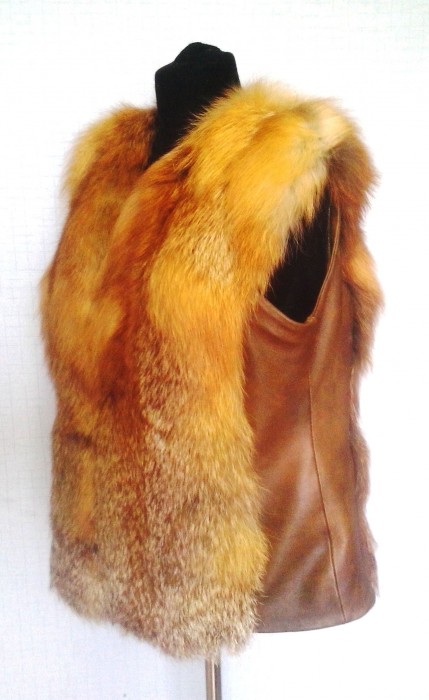 Рыжая лиса5.jpg (555.85 КБ) Просмотров: 2032 Рыжая лиса5.jpg