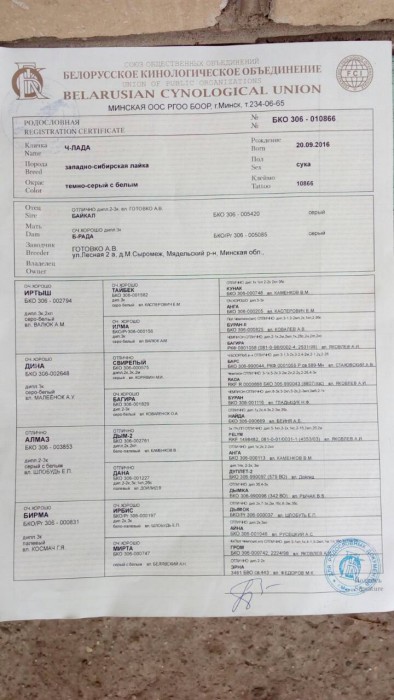Лада_Род1.jpg (120.92 КБ) Просмотров: 6434 Лада_Род1.jpg
