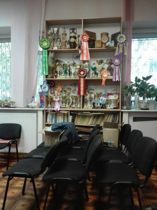 IMG-c84d323518860eb13a00c673ca690915-V.jpg
