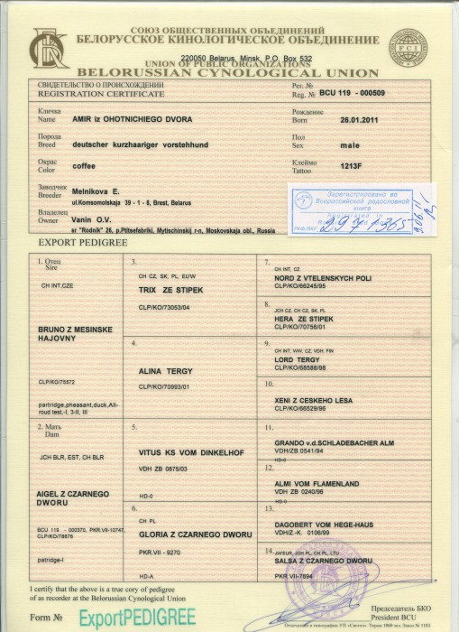 Амир родословная.jpg (1008.58 КБ) Просмотров: 6412 Амир родословная.jpg
