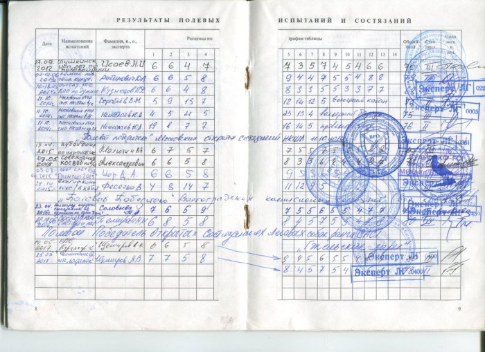 Родка Амир РОРОС-4.jpg (212.73 КБ) Просмотров: 6412 Родка Амир РОРОС-4.jpg