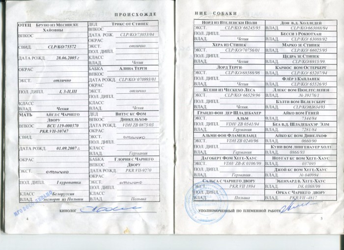 Родка Амир РОРС-2.jpg (196.97 КБ) Просмотров: 6412 Родка Амир РОРС-2.jpg
