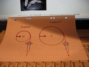 IMG_1008.jpg