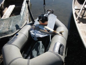 IMG_1011.jpg