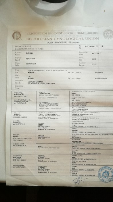 IMG_20180808_193649.jpg (2.53 МБ) Просмотров: 3693 IMG_20180808_193649.jpg