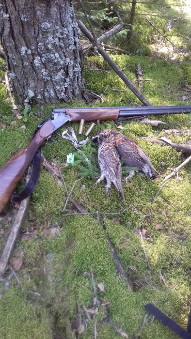 Ряб1.jpg (1.41 МБ) Просмотров: 14374 Ряб1.jpg