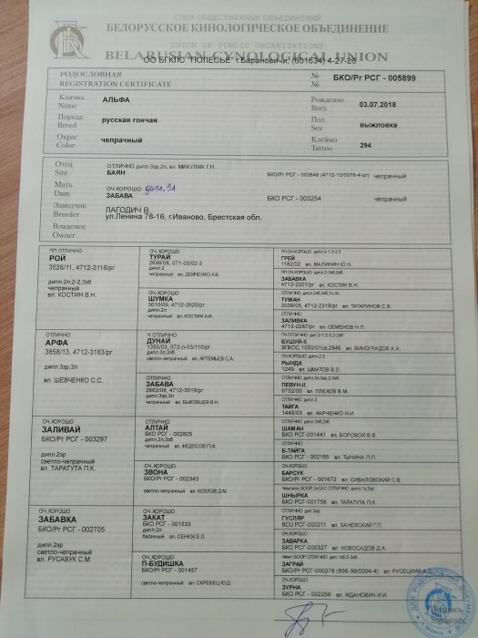 IMG_20180911_151252.jpg (3.27 МБ) Просмотров: 2732 IMG_20180911_151252.jpg