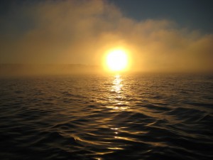 IMG_8386.JPG