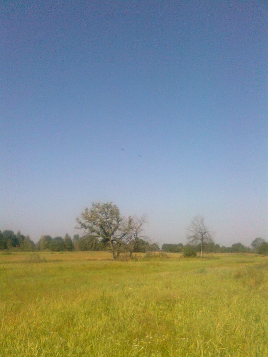 Фото0878.jpg (500.71 КБ) Просмотров: 16316 Фото0878.jpg