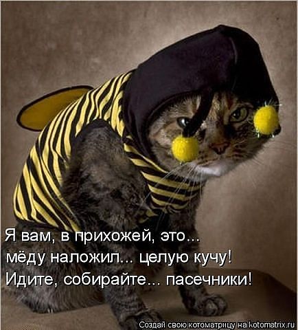 432512_44076.jpg