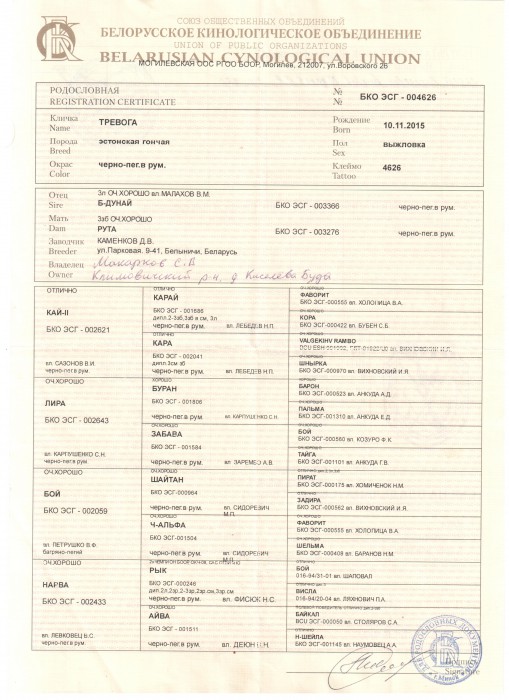 родословная Тревога 001.jpg